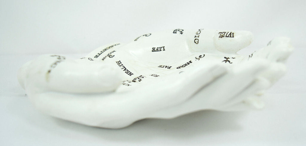 Accessories Nemesis Now Palmist's Guide White Chiromancy Hands Candle Holder