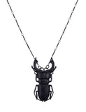 Jewellery Witchcraft magic Stag beetle beetle insect necklace